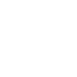 Tiktok link