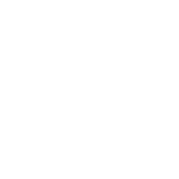 Youtube link
